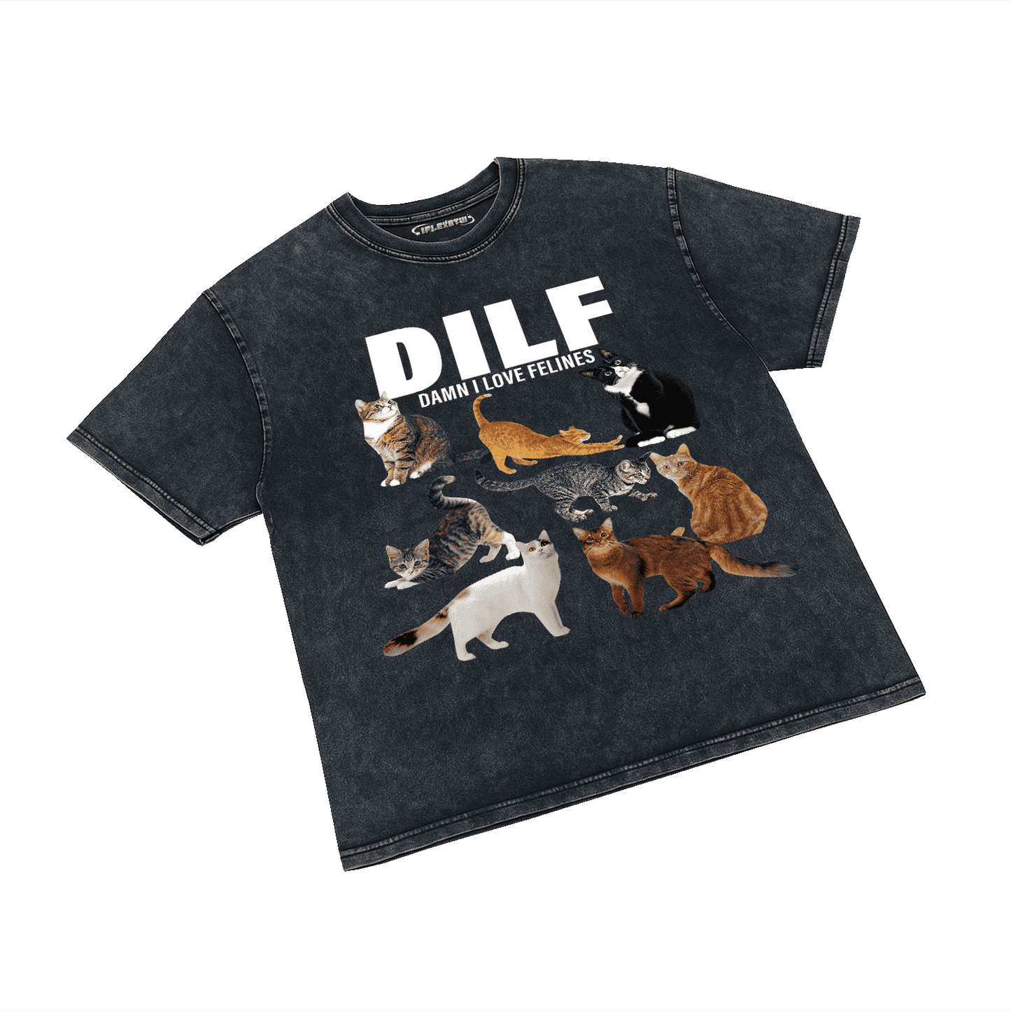 DILF (DAMN I LOVE FELINES) ACID WASH T-SHIRT