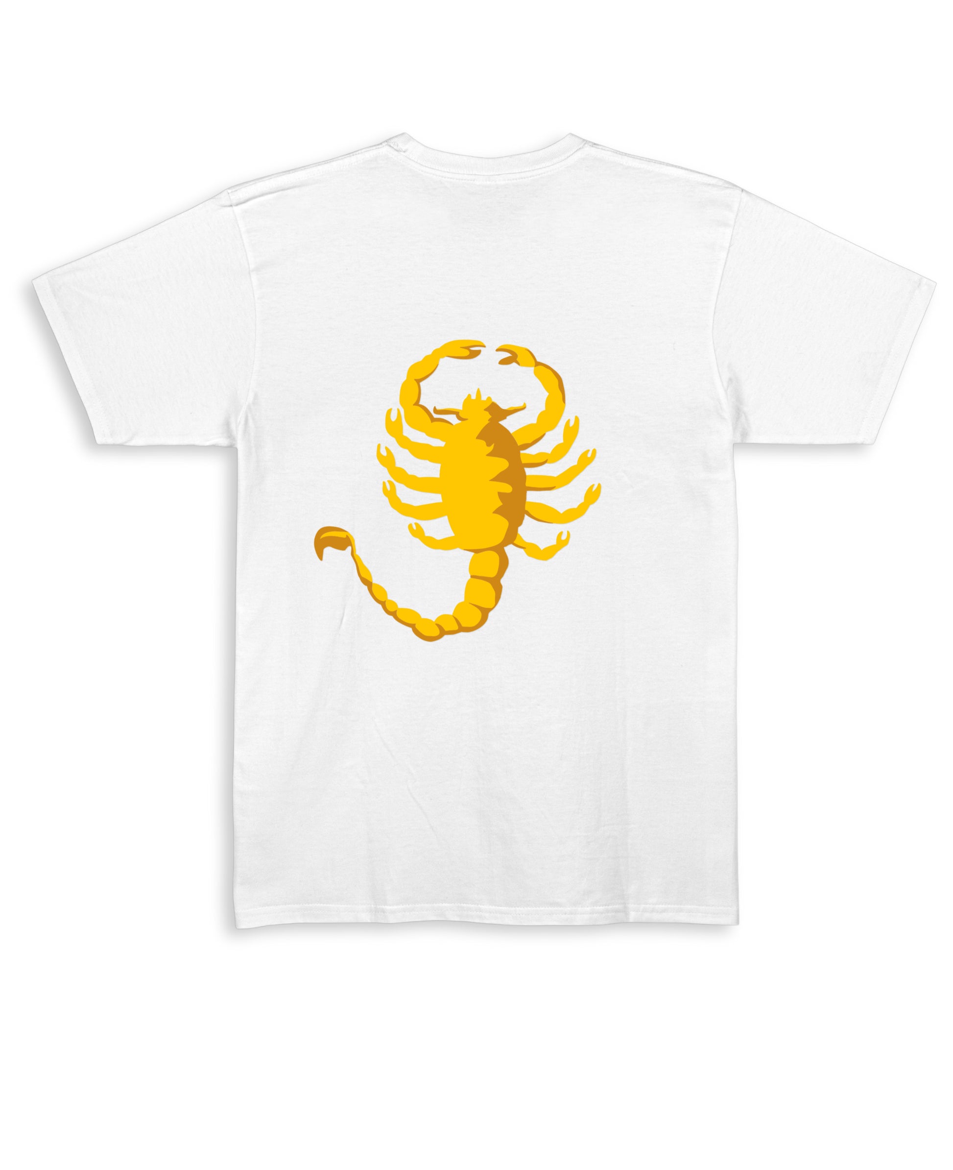 White Regular Fit T-shirt Back Design